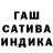 Канабис сатива Darragh Collins