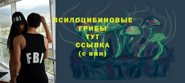 ECSTASY Лагань
