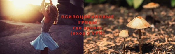 бошки Куйбышев