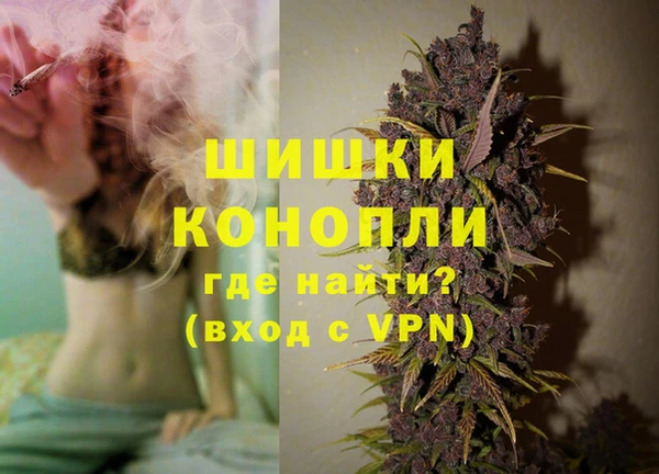 ECSTASY Лагань