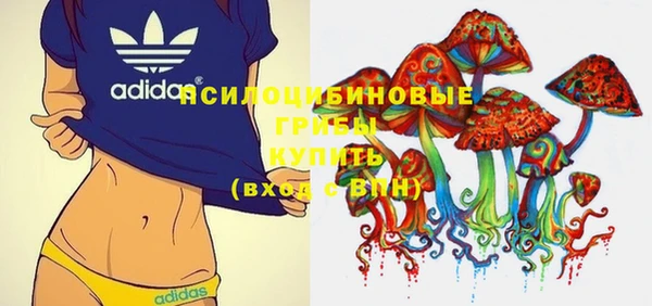 ECSTASY Лагань