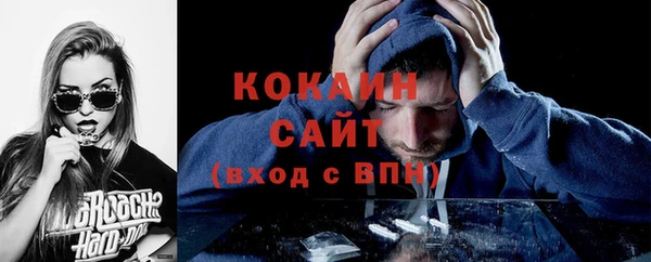 ГАЛЛЮЦИНОГЕННЫЕ ГРИБЫ Кукмор