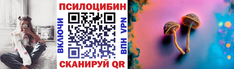сколько стоит  Удачный  дарк нет как зайти  Галлюциногенные грибы Psilocybe 
